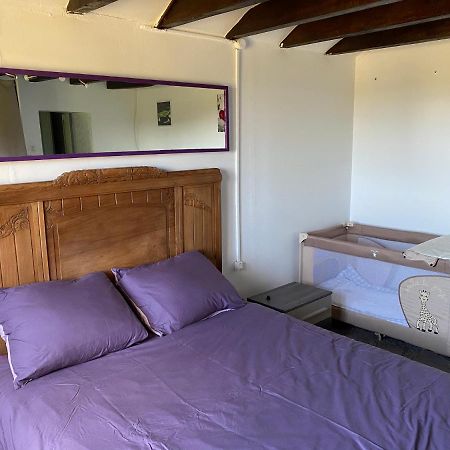 Maison De Campagne Proche Du Zoo De Beauval Nouans-les-Fontaines 外观 照片